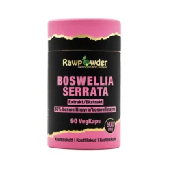 Boswellia Extrakt 500mg 90 VegKaps