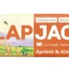 Flapjack Apricot & Almond 80g