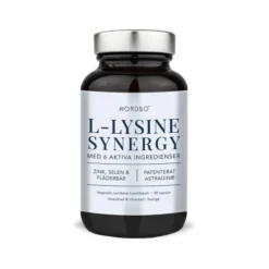 L-Lysine Synergy 90 kapslar