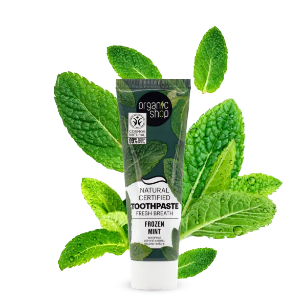 Mint Toothpaste Fresh Breath 100g